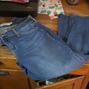 Torrid Jeans